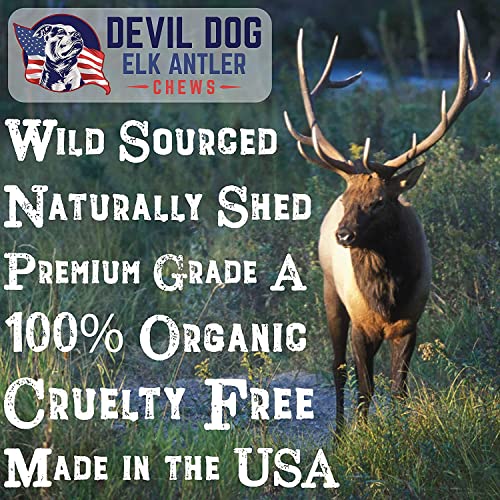 Devil Dog Pet Co Antler Dog Chew - Premium Elk Antlers For Dogs - Long Lasting Dog Bones For Aggressive Chewers - No Mess No Odor - Wild Shed In The Usa - Veteran Owned (Medium) #TOP1