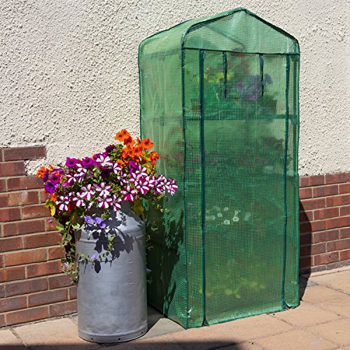 Woodside, serra da giardino a 4 piani con