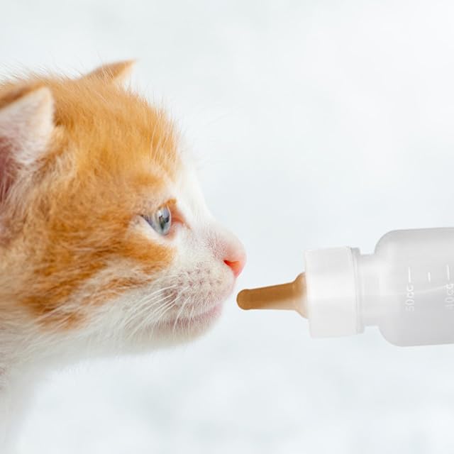 Foto 2 de 8 de FLAVAS Biberón Para Mascotas, Alimentador De Leche Con Botella De Leche Para Gatitos A Escala Transparente