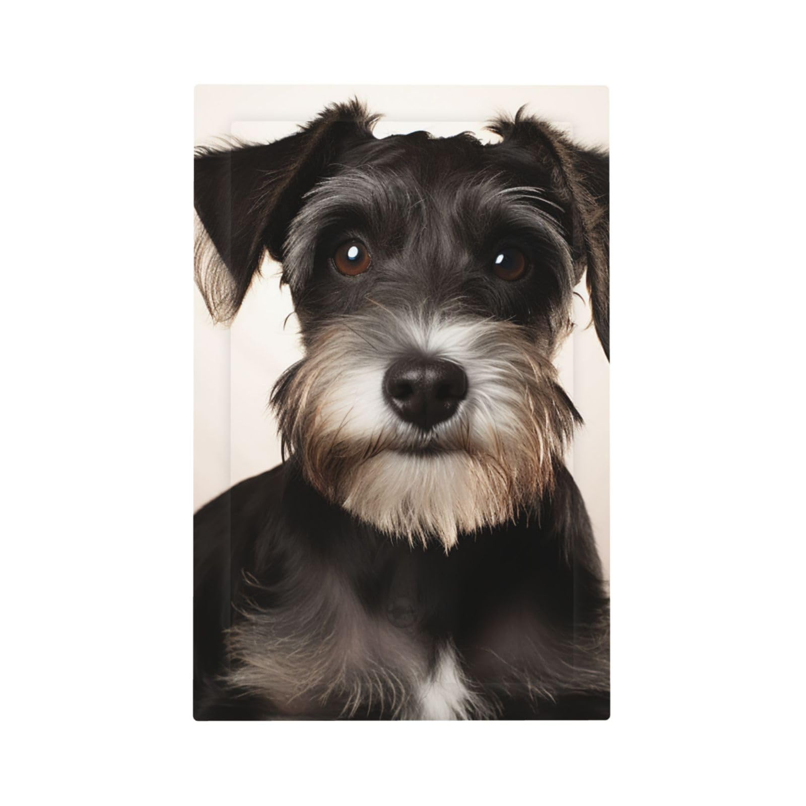 1-Gang Decorator Wall Plate Cute schnauzer Light Switch Cover Single Gang Receptacle Outlet Wall Plate Mid Size 5" x 3" Wallplate Unbreakable Polycarbonate Outlet Faceplates Covers