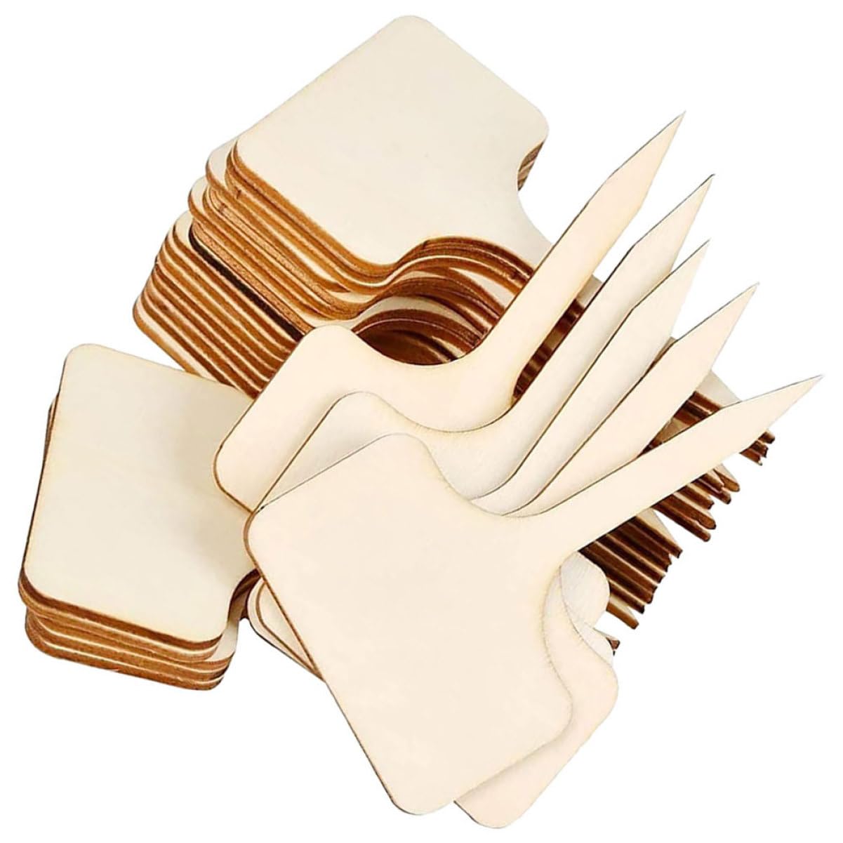 POPETPOP 5 Ensembles Étiquette D'insertion Piquets De Jardin Petit Usine Graine Fougères Étiquette Prenom Étiquette Jardinage Étiquettes En Bois Marqueurs De 20 Pièces * 5