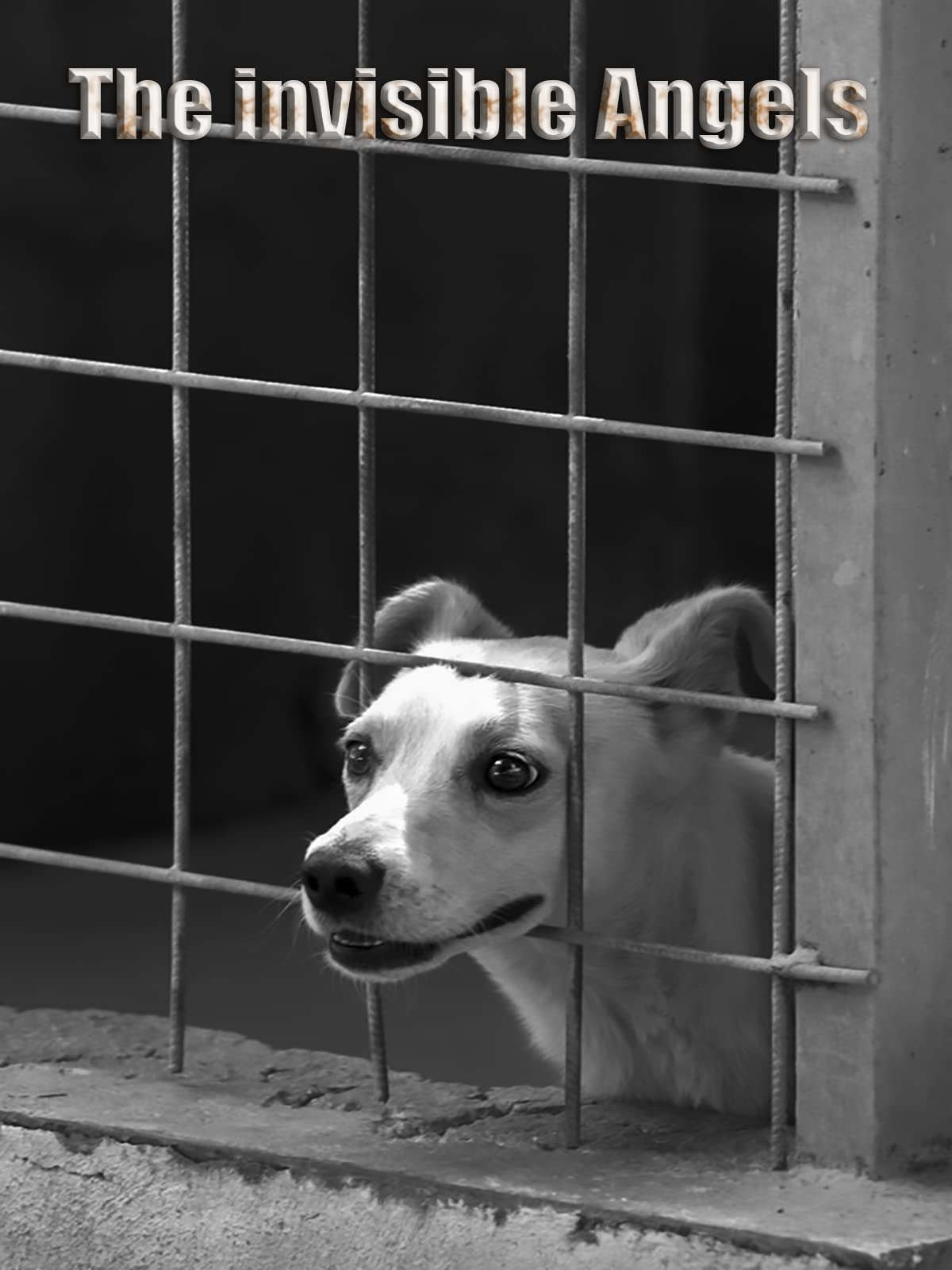 The Invisible Angels