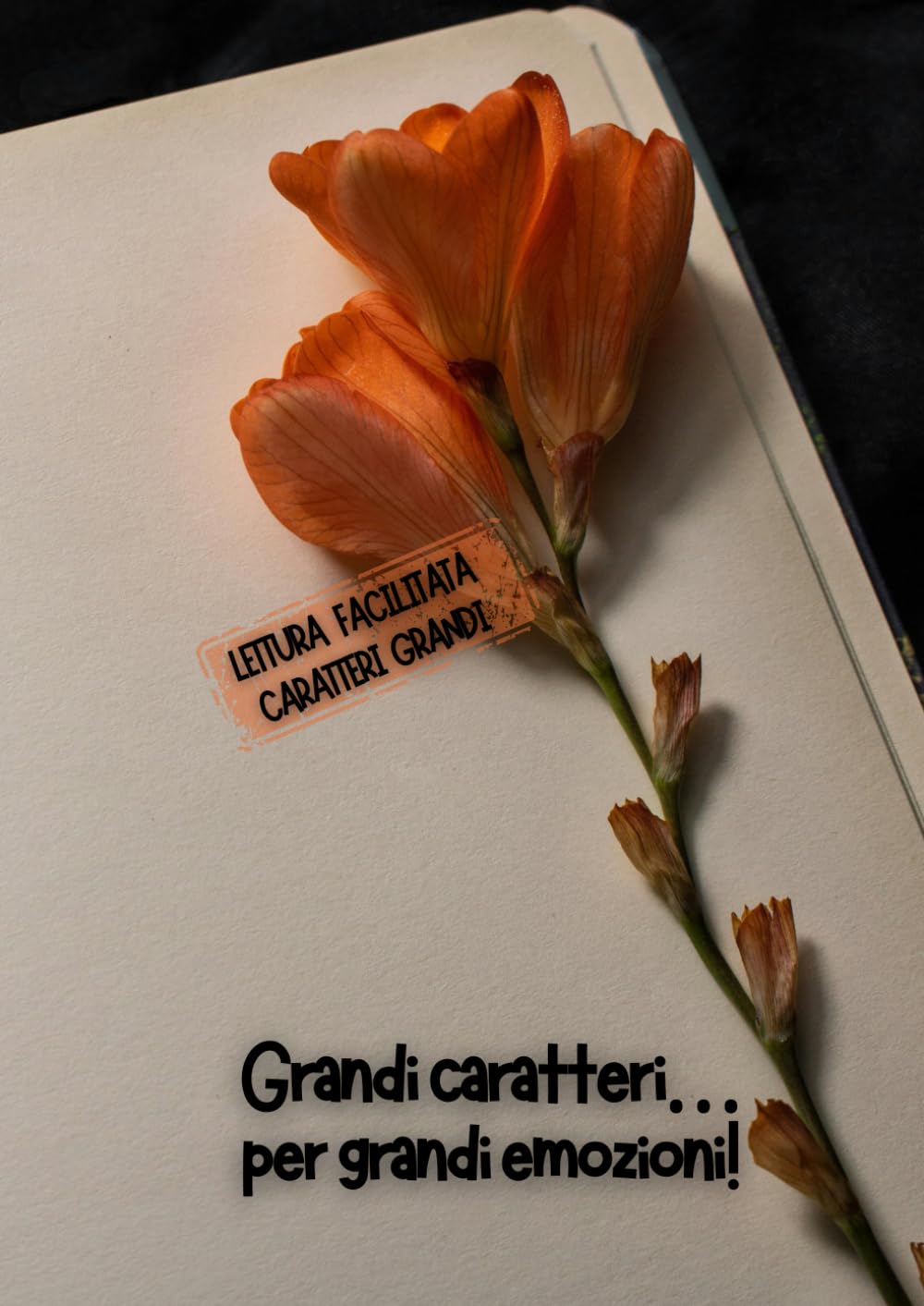 GRANDI CARATTERI PER GRANDI EMOZIONI!: Lettura facilitata per adulti caratteri grandi (RACCONTI ROSA)