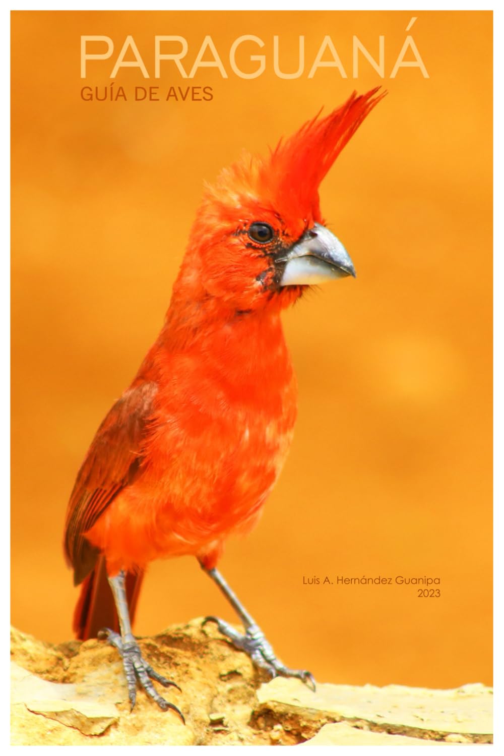 PARAGUANÁ Guía de Aves 2023 (Spanish Edition)