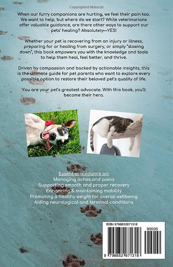 Healing Paws: The Powerful Benefits of Pet Rehabilitation - Image 2