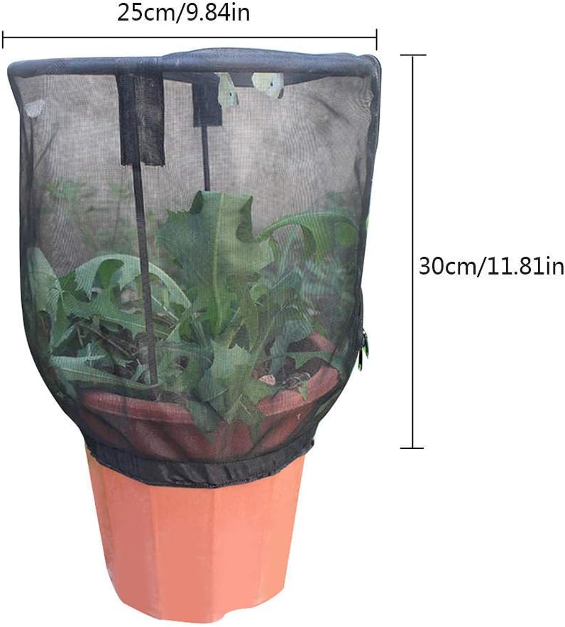 最大95 オフ Yifan 昆虫ケージ メッシュ カマキリ 蝶 爬虫類 飼育ケース 生息地 高通気性ネット ホワイト グリーン Sサイズ Flyingjeep Jp 最大95 オフ Yifan 昆虫ケージ メッシュ カマキリ 蝶 爬虫類 飼育ケース 生息地 高通気性ネット ホワイト グリーン Sサイズ Flyingjeep Jp