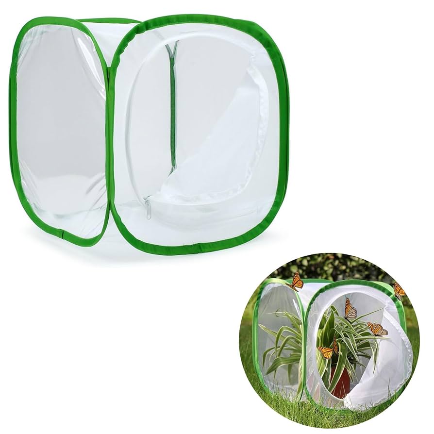 Amazon | 虫籠(緑辺 ホワイト網30*30*30)昆虫飼育箱 植物ケージ