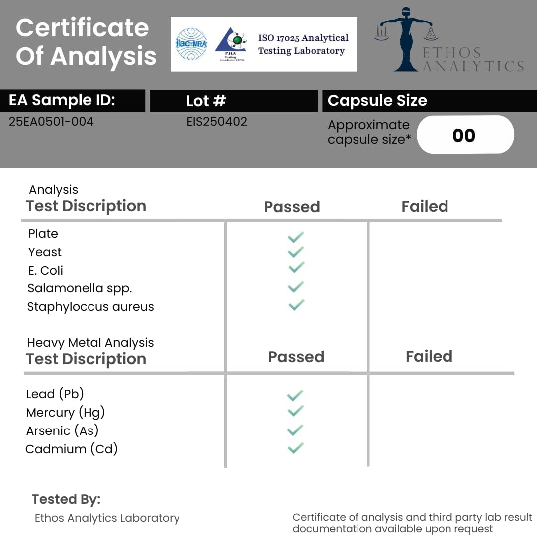 Viracid Complete (3 Pack) Comprehensive Immune Formula with Elderberry, Echinacea, Garlic, Zinc, L-Glutamine & Turmeric 95% Curcuminoids | Premium Supplement, Made in USA, GMP Certified