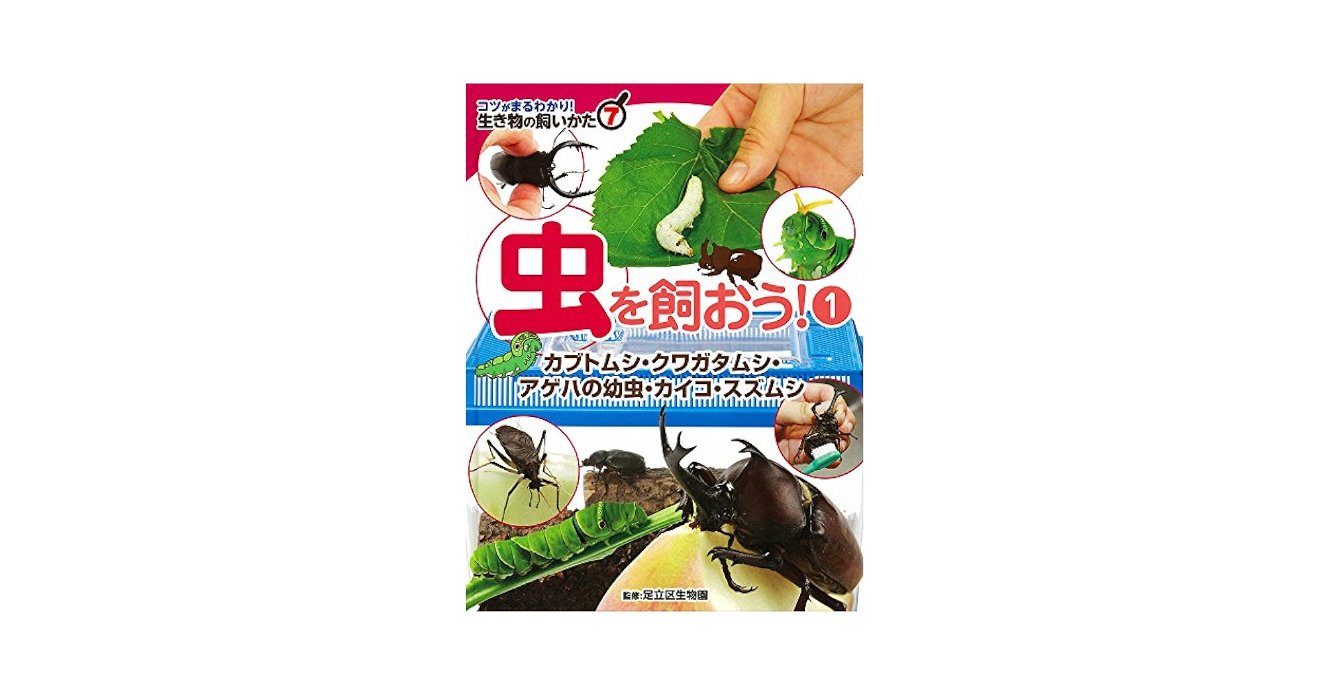 Amazon.co.jp: 虫を飼おう!(1): カブトムシ・クワガタムシ