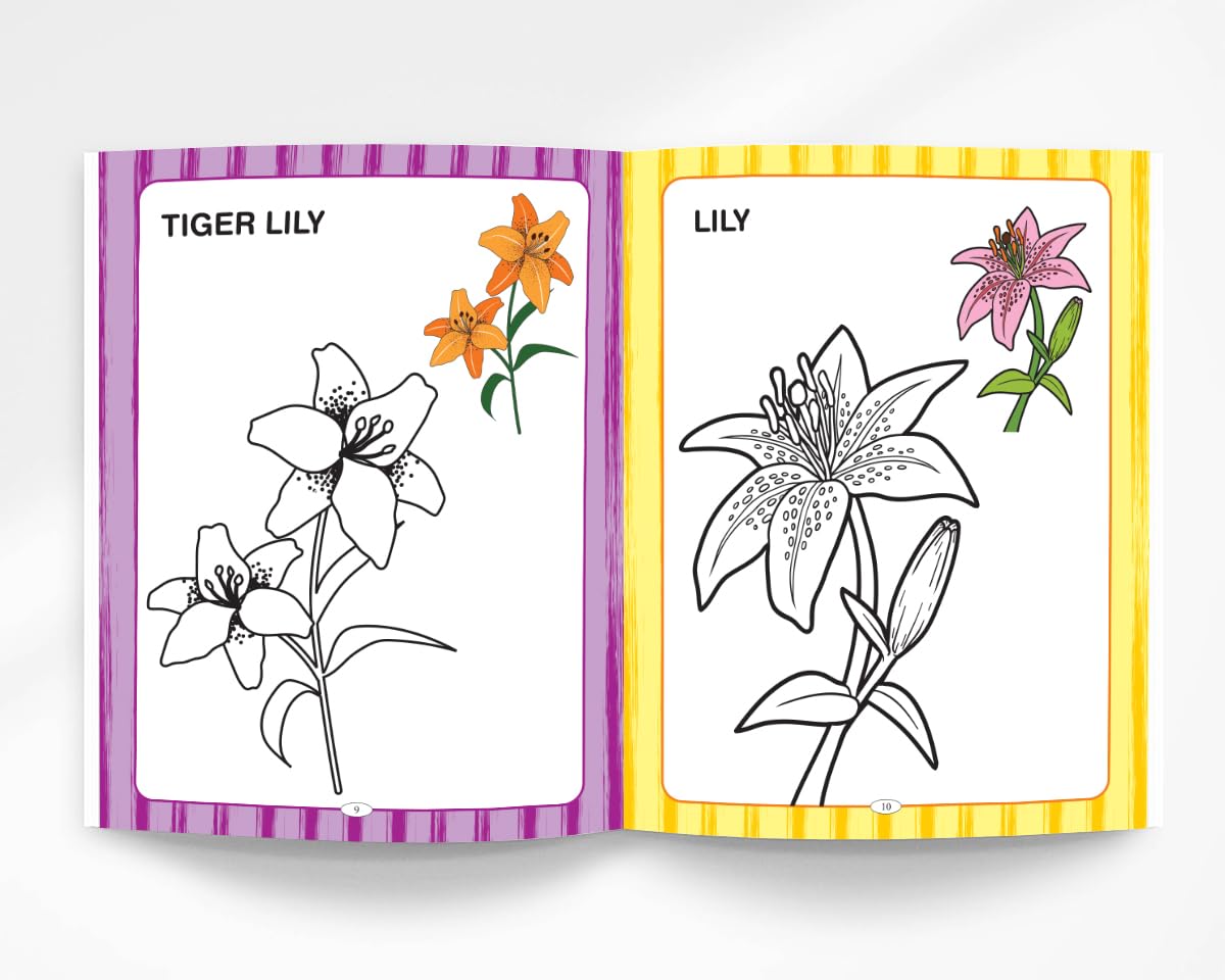 Toys And Flowers Colouring Book - Magical Colouring Book for Kids |Preschool Activity Book 3