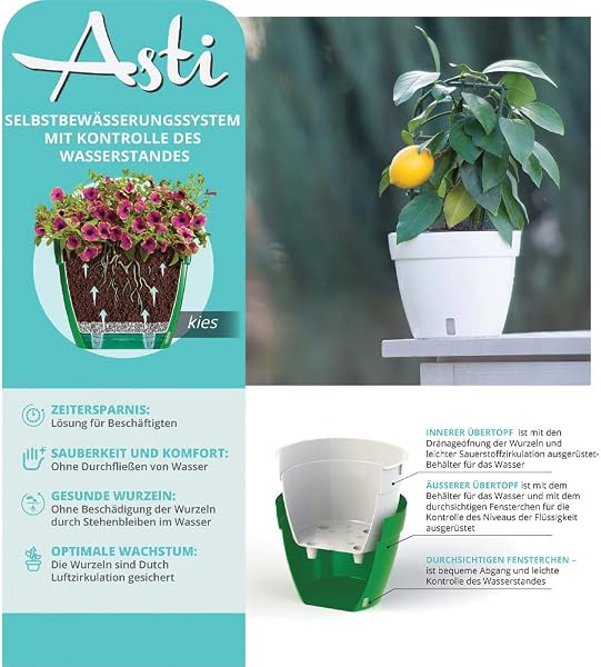 Santino ASTI 27CM Selbstwässernder Blumentopf mit Wasserstandsanzeiger für Anlagen, Blumen, Kräuter (Ø 27 cm, H 21 cm, 9L - Anthrazit/Weiß) - 2