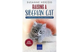 The Essential Guide to Raising a Siberian Cat