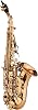 Mini Bb Soprano Saxophone Sax Brass Material Gold Laquer Surface Woodwind Instrument with Carry Case Gloves Cleaning Cloth Brush Reeds Sax Strap