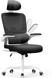 Naspaluro Ergonomic Office Chairs, High Big Study Desk Computer Chair with Back Support