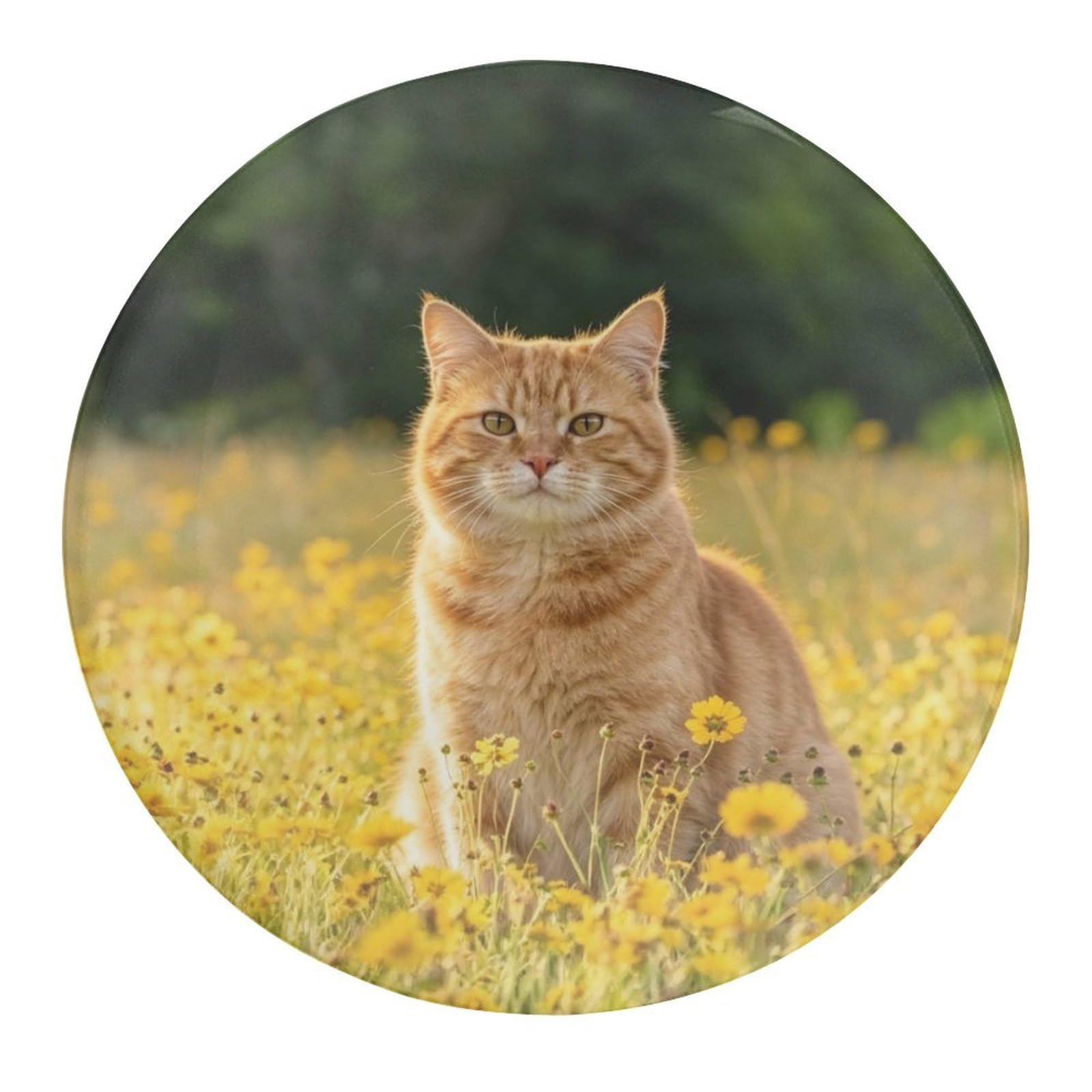 Fekiloot Style-5 Cute Cats Refrigerator Magnet Fridge Magnet4 Pcs