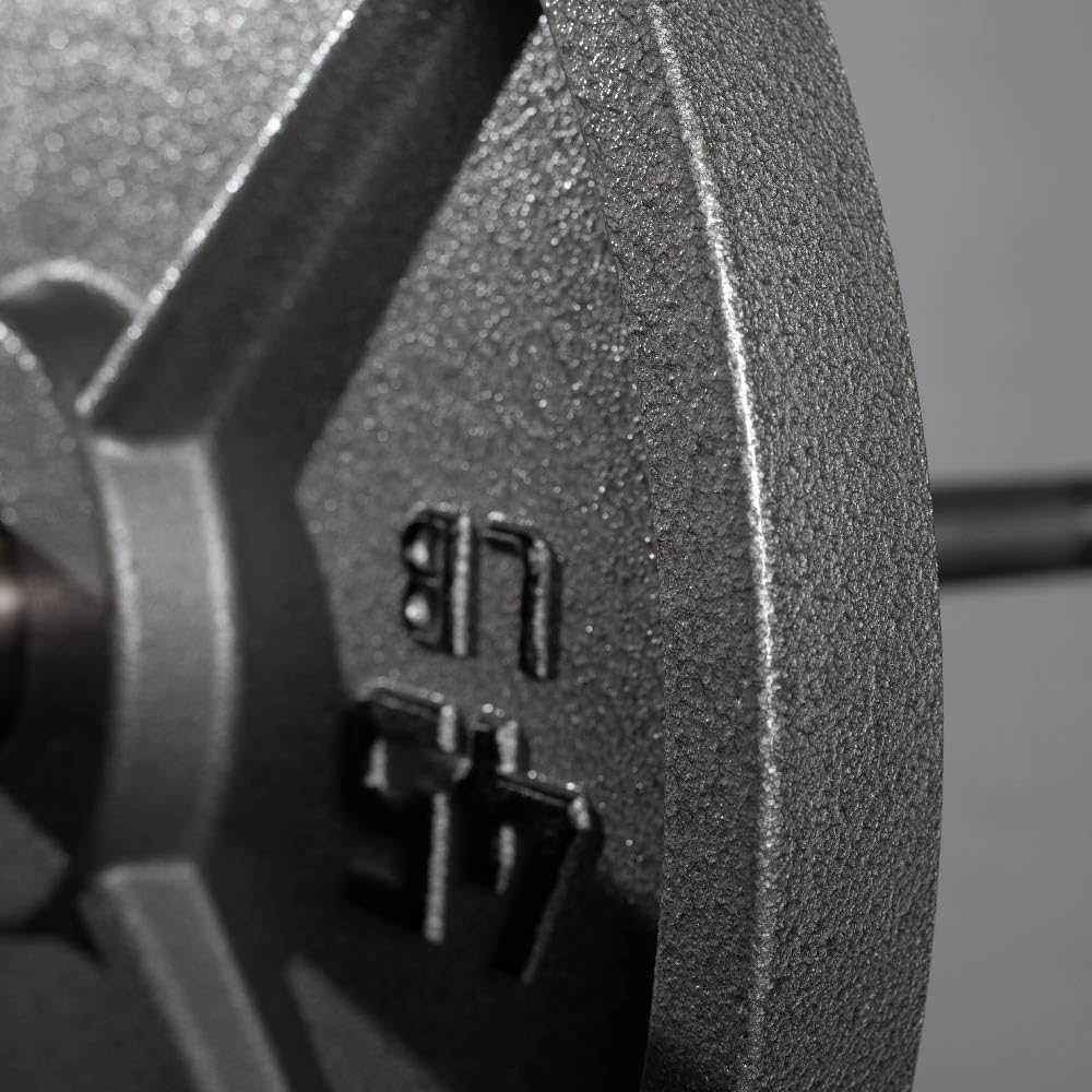 Titan Fitness 45 LB Cast Iron Olympic Plate, Sold Individually, Classic Weight Plate Design, Silver Hammer Finish