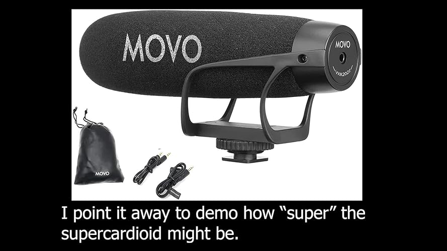 【美品】SYNCO-コンデンサーマイク D30 (8.4インチ) Amazon | SYNCO-コンデンサーマイク D30 (8.4インチ