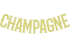 Champagne Banner, Drake Bunting Sign, Hip Hop Birthday Party Decorations Gold Glitter