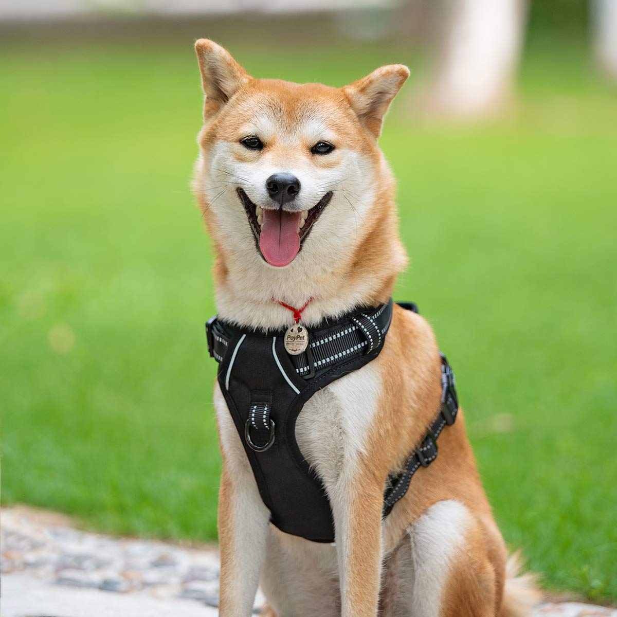PoyPet Arnés reflectante para perros No Pull, Pechera para Perro con 2 fijaciones para la correa y asa de control fácil para perros pequeños y medianos (negro, L)