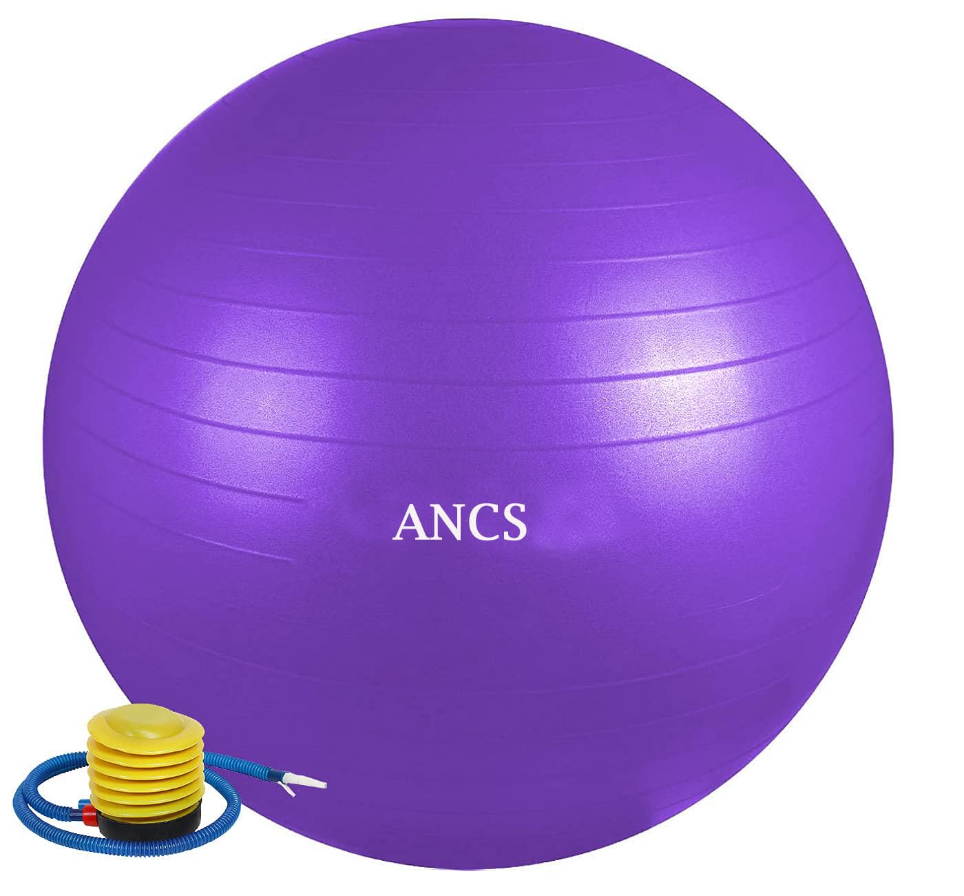 ANCS Gym Ball with Foot Pump Exercise Rubber Ball Anti Burst Swiss Birthing Stability Ball for Workout,Pregnancy, Balance, (Multicolor, Sizes : 55 to 85 cm) (65cm) (B0CHJR9L3W) Amazon Price History, Amazon Price Tracker