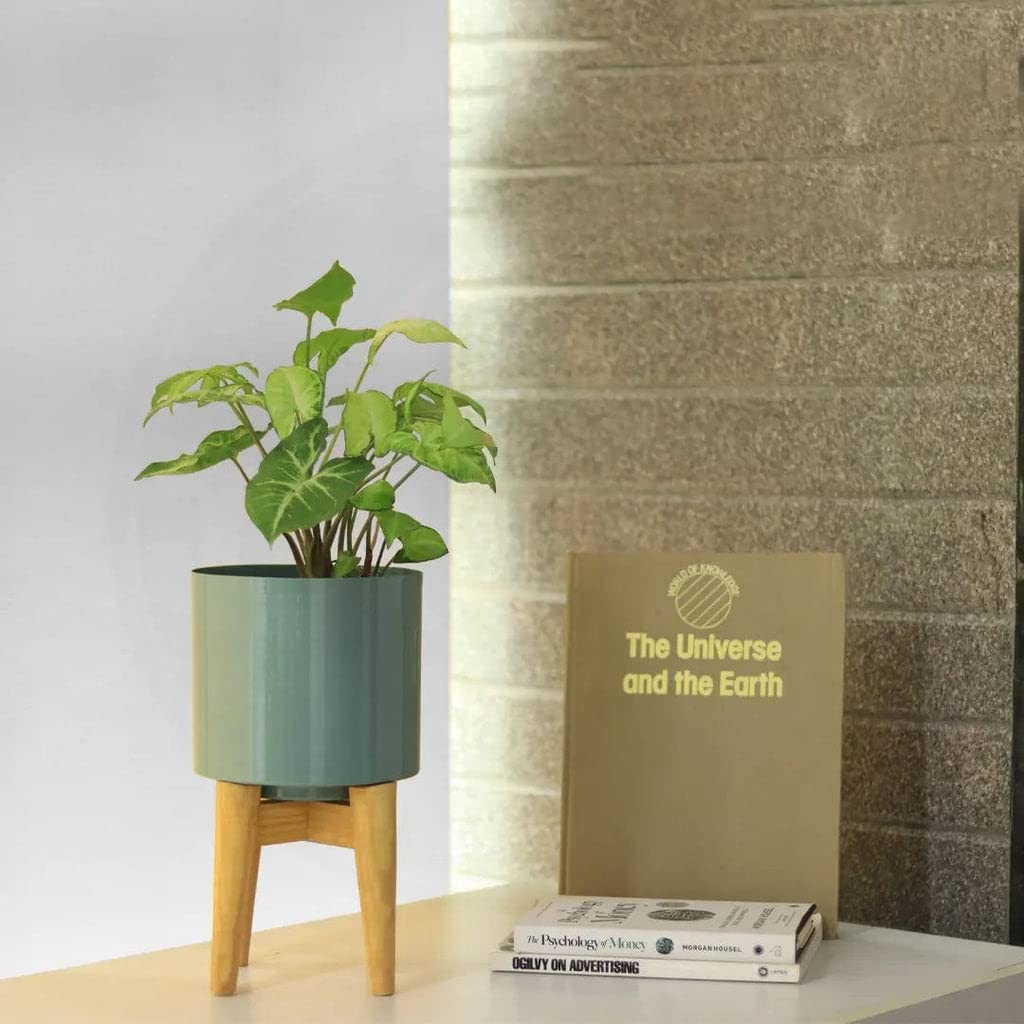 TrustBasket Coral Mid Century Stand with Pot for Indoor Plants & Flowers | Matte Finish | Home Decor Planter for Living Room | Rust-Free Metal Planter (B0BHP63YT6) Amazon Price History, Amazon Price Tracker