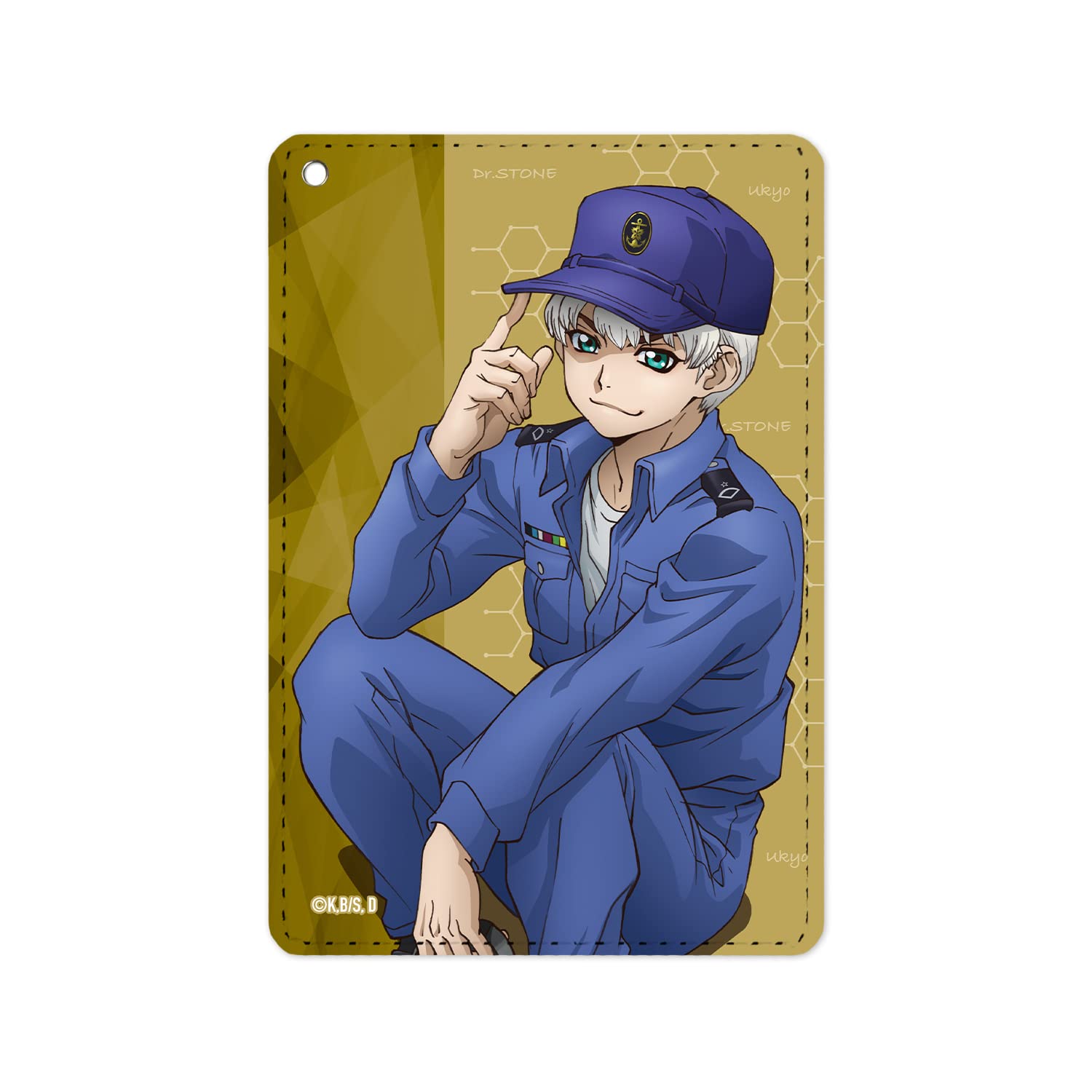 Amazon.co.jp: Dr.STONE 描き下ろしイラスト 西園寺羽京 石化前ver. 1