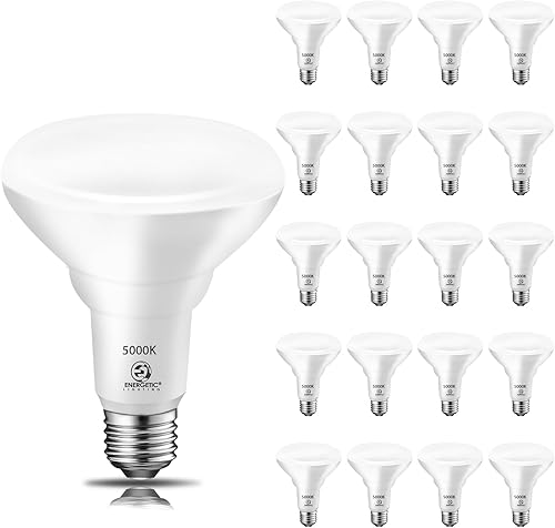 Energetic BR30 - Bombilla LED para interiores de 65 W, 5000 K, luz diurna, 650 lm, base E26, 15000 horas de vida útil, bombillas empotrables
