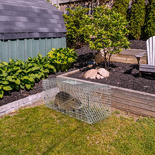 iMounTEK Humane Live Animal Trap Animal Trap 32X12.5X12In Large Humane Cat Trap Catch Release Animal Rodent Cage Collapsible Galvanized Wire for Small Raccoons Beavers Groundhogs Foxes Armadillos