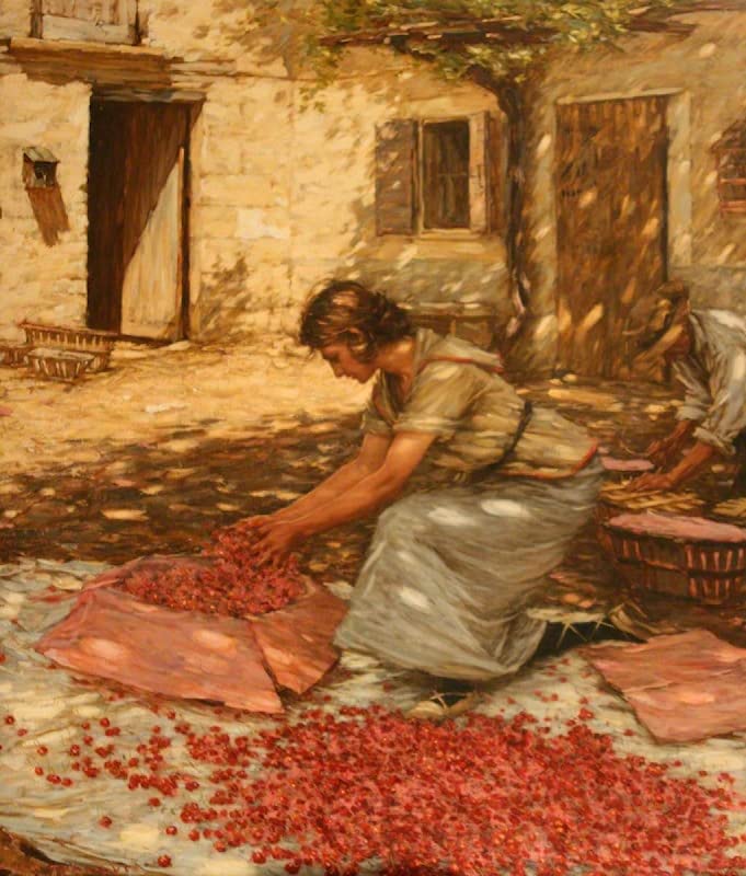 Cartel del lienzo Envasando cerezas en Provenza para renovar el ambiente de tu comedor 1
