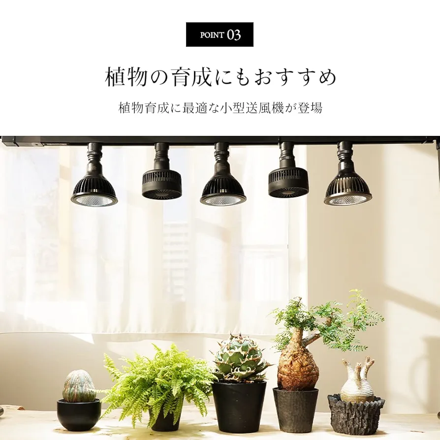 BARREL エクメア　ファン&クリップスイッチソケット　セット　ブラック Amazon.co.jp: BARREL 正規代理店【AECHMEA MOVE】(エクメア