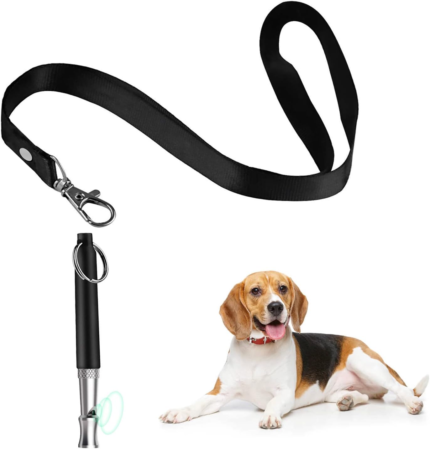 Are Dog Whistles Effective