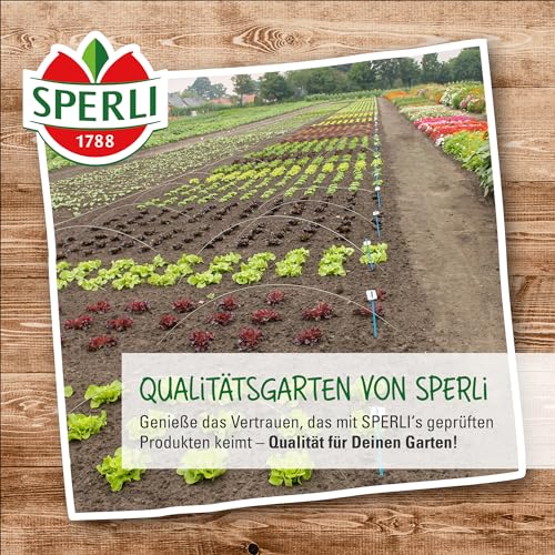 81134 Sperli Premium Kohlrabi Samen Delikateß Weißer | Aromatisch Zart | Langes Erntefenster | Kohlrabi Saatgut
