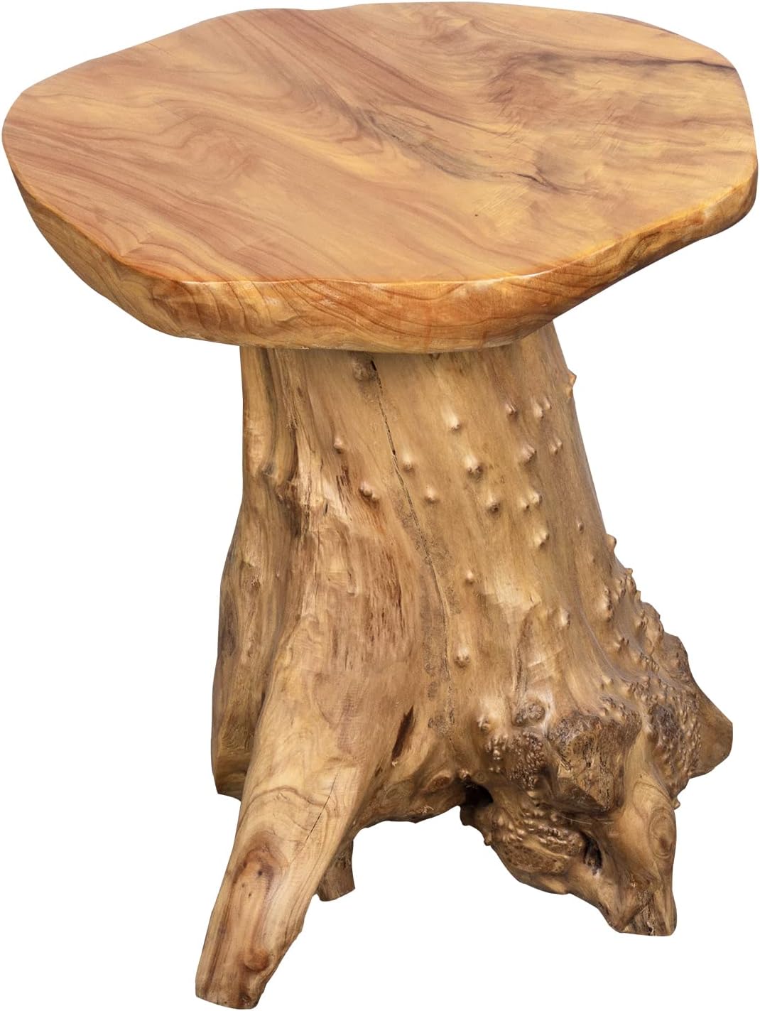 CIN&GO Natural Wood End Table, Tree Stump Side Table, Natural Edge Wood Side Table, Accent Table with Clear Lacquer Finish for Living Room 18" Tall