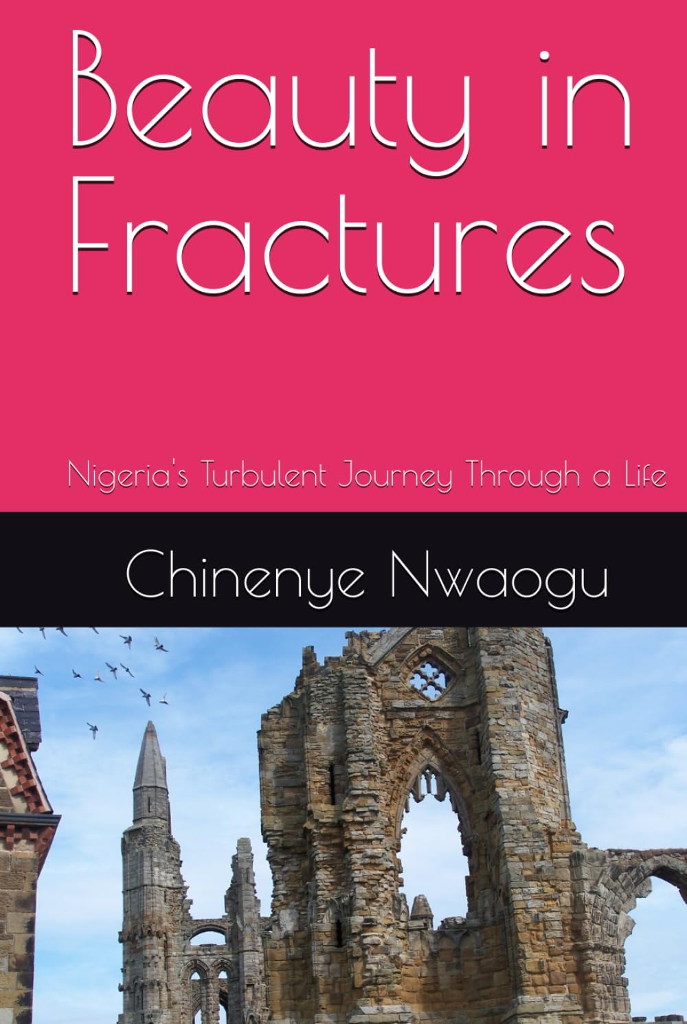 Beauty in Fractures: Nigeria's Turbulent Journey Through a Life
