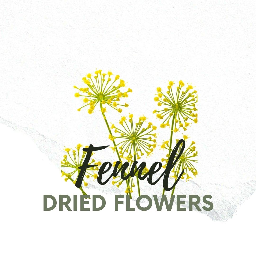 NATURA D'ORIENTE Finocchiella Selvatica Fiore 250g – Fiore di Finocchietto Selvatico Essiccato – 100% Naturale – Ideale per Salsicce, Marinature, Liquori e Uso Erboristico PRODOTTO ITALIANO