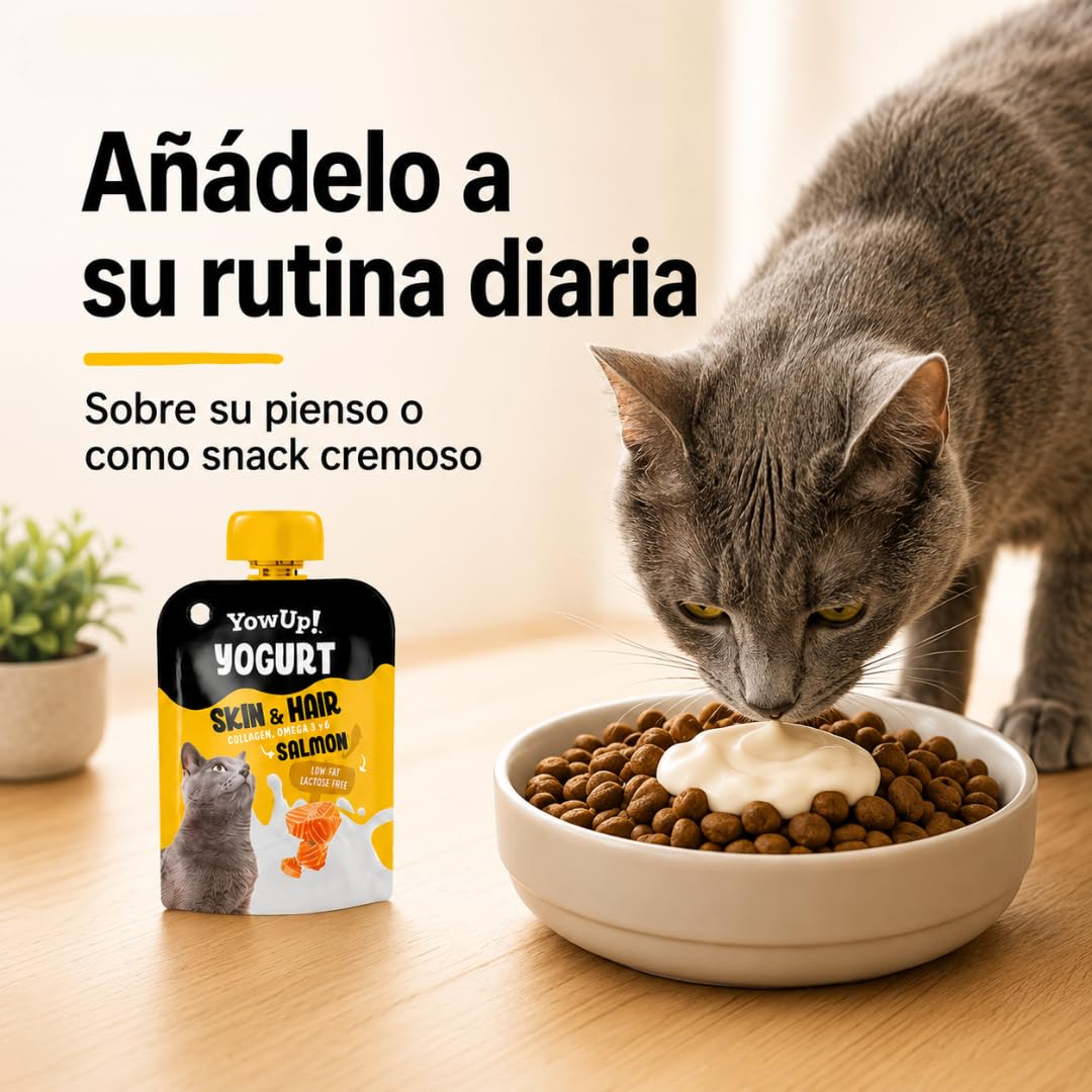 YOW UP Beutel für Joghurt und Katzen, 10 x 85 g