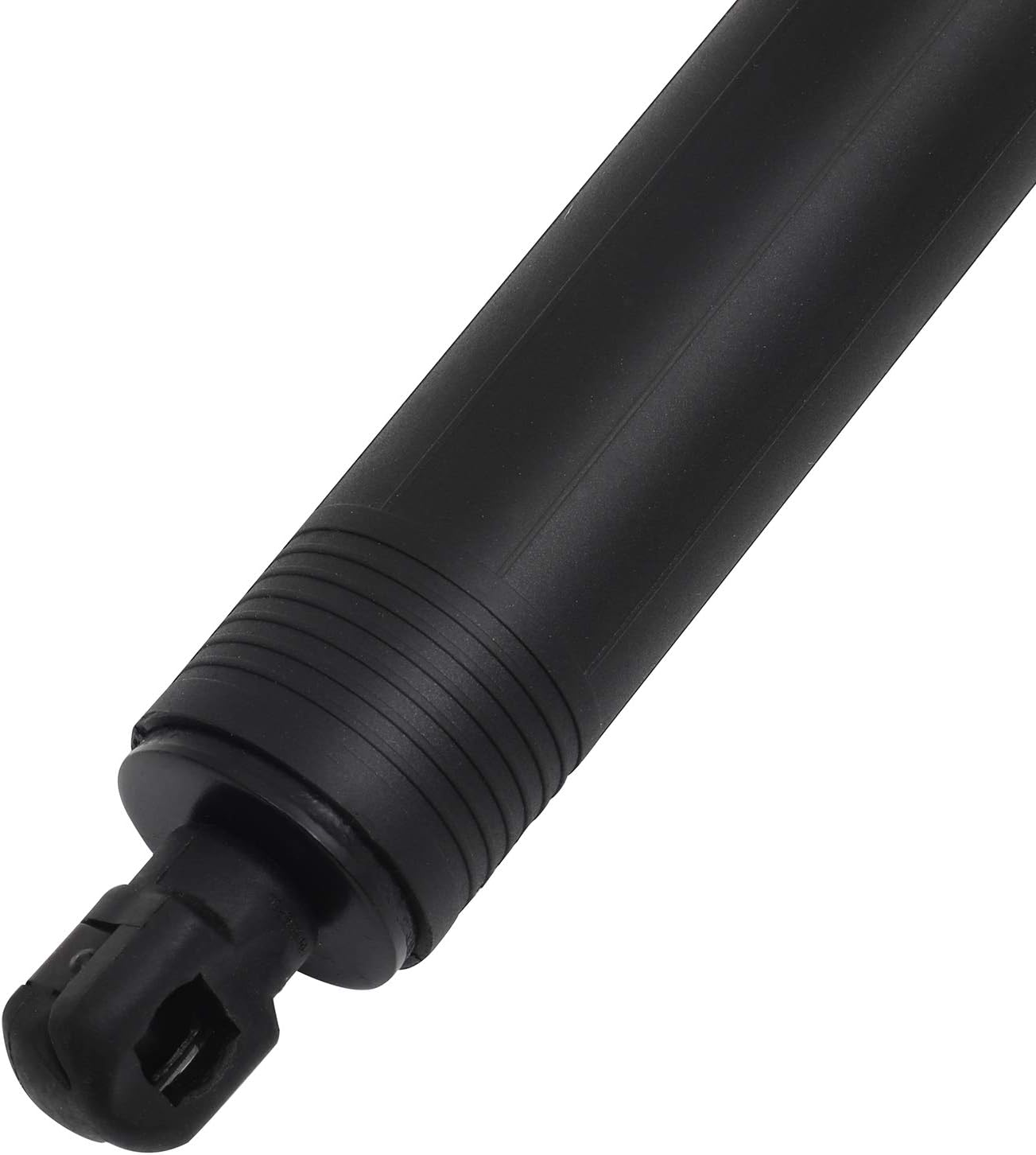 https://m.media-amazon.com/images/I/616ZGCLMavL._AC_SL1500_.jpg