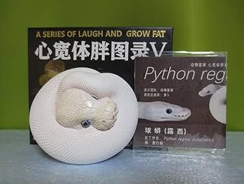 【動物の惑星】ボールパイソン　フルブラック　アニマルプラネット　入手困難 Amazon.co.jp: 限定品 動物の惑星 アニマルプラネット 爬虫類