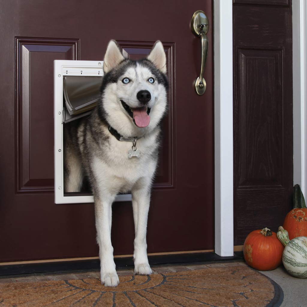 PetSafe Extreme Weather Energy Efficient Pet Door for Cats and Dogs - Insulated Flap System - Large - Plastic Frame