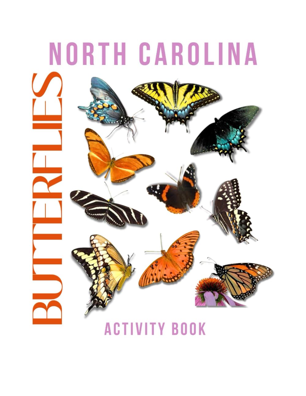 Butterflies of North Carolina Activity Book: A Young Explorer's Guide to Pollinators of the Tar Heel State! (North Carolina Nature Explorer Series)