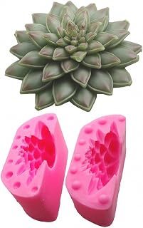 Succulent Plants Fondant Mold - MoldFun Succulents Silicone Mould for Candle, Soap, Wax, Crayon
