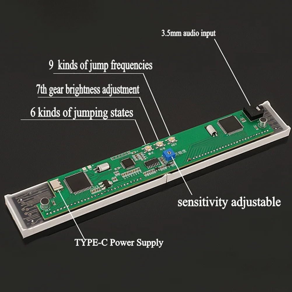 Module LED pour spectre Audio Double Canal 215mm Type-C Module