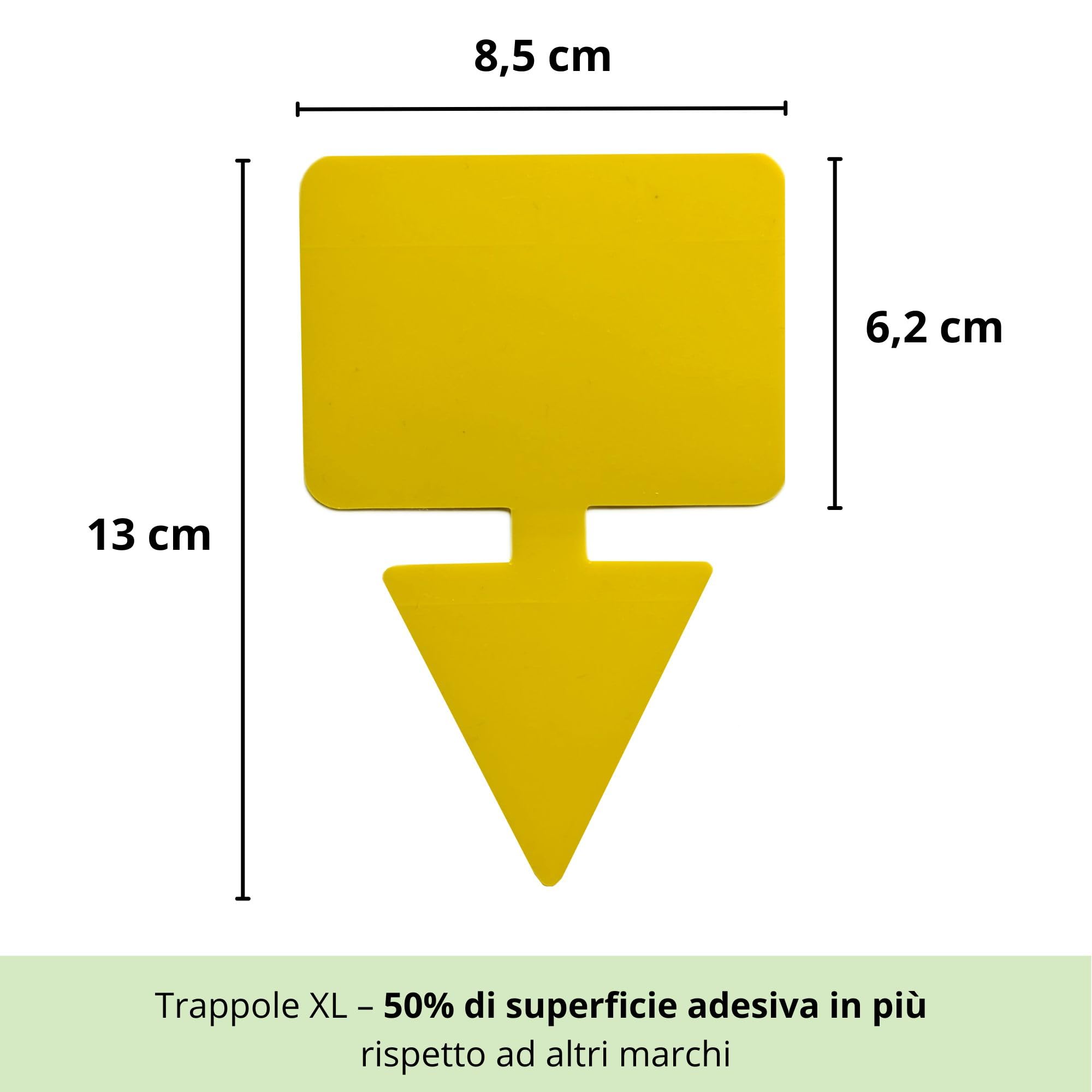 Nematodi contro i Moscerini del Terriccio + Trappole Gialle Adesive – Trattamento contro Moscerini delle Piante, Gli Sciaridi, Mosche del Terriccio per Piante da Intern (3M Nematodi + 10 Trappole)