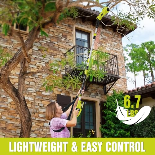 EWORK 8-Inch 20V Pole Saw