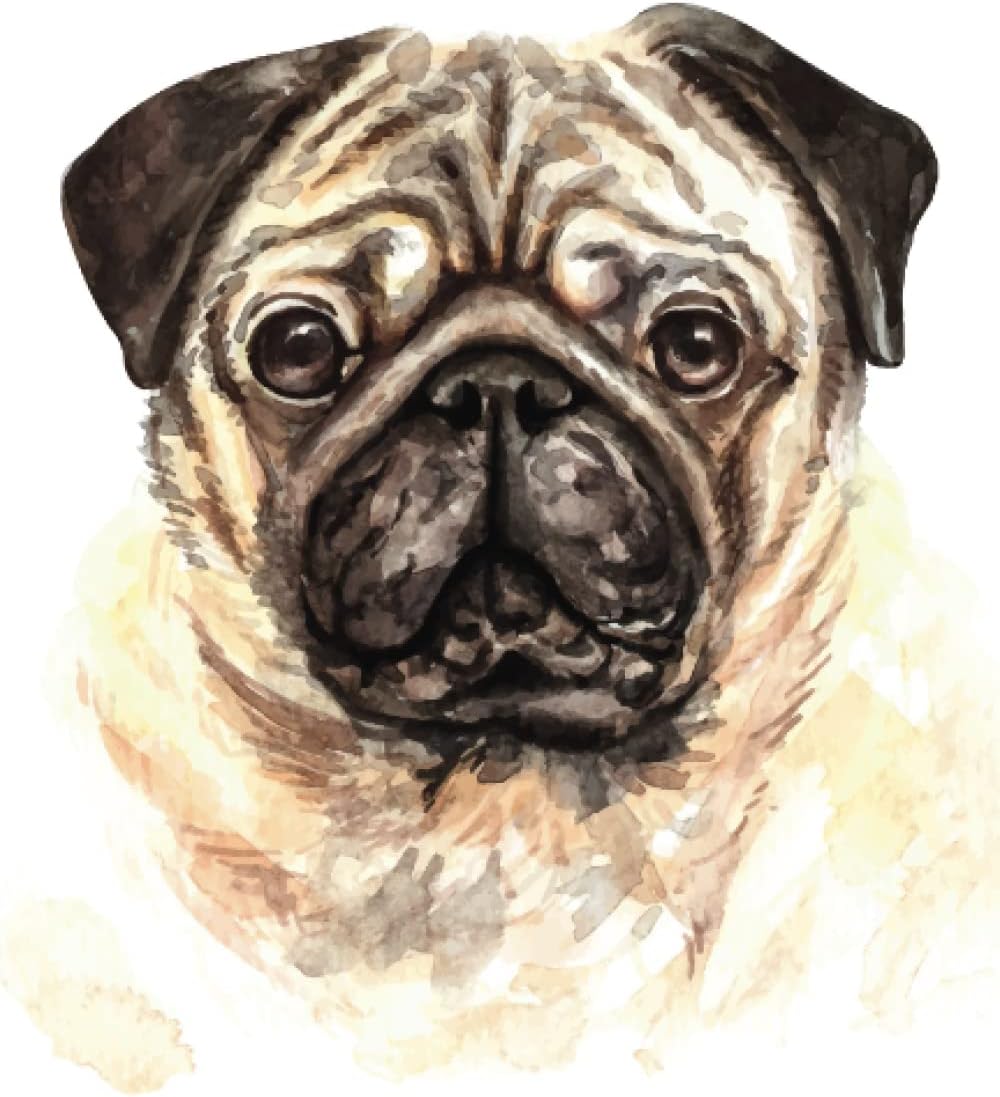 DIARIO BULLET CARLINO: Diario a puntini per Tenere traccia del passato Ordinare il presente e Progettare il futuro | Taccuino a puntini 5mm | 110 ... | Carta interna avorio | Razze Cani | PUG DOG