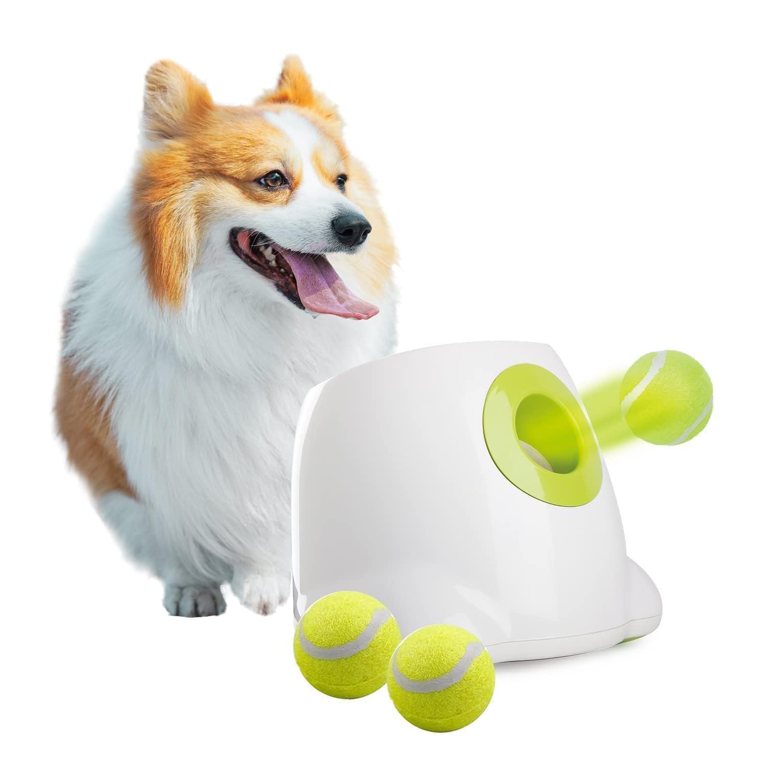 Amazon | ALL FOR PAWSインタラクティブドッグ 自動ボールランチャー