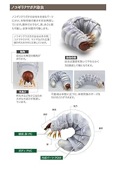 Amazon.co.jp: いきもの大図鑑 くわがた02 レア