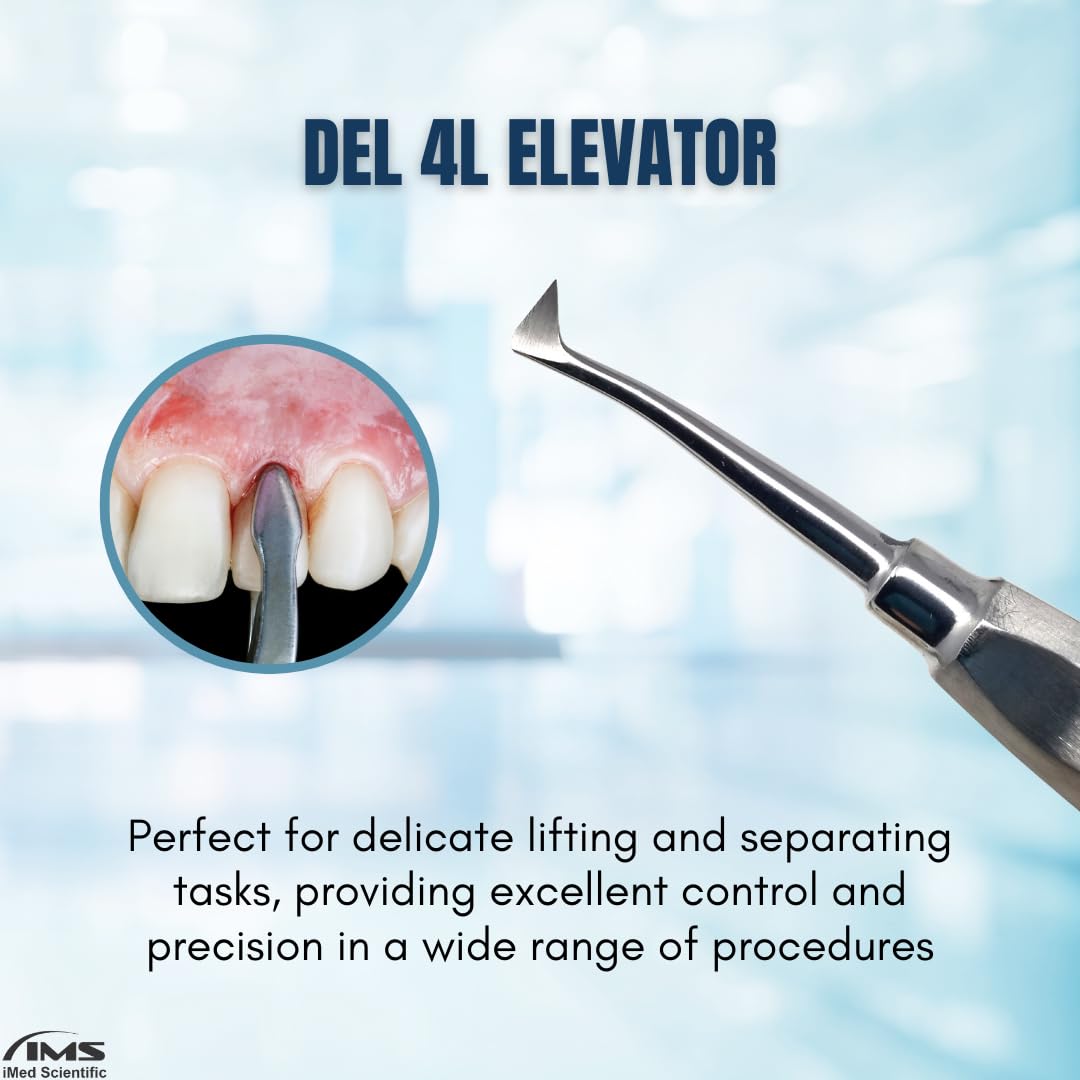 Cryer Dental Molar Root Extraction Elevator Left and Right Tips Stainless Steel Flag Elevators for Oral Hygiene Care (DEL 4L)