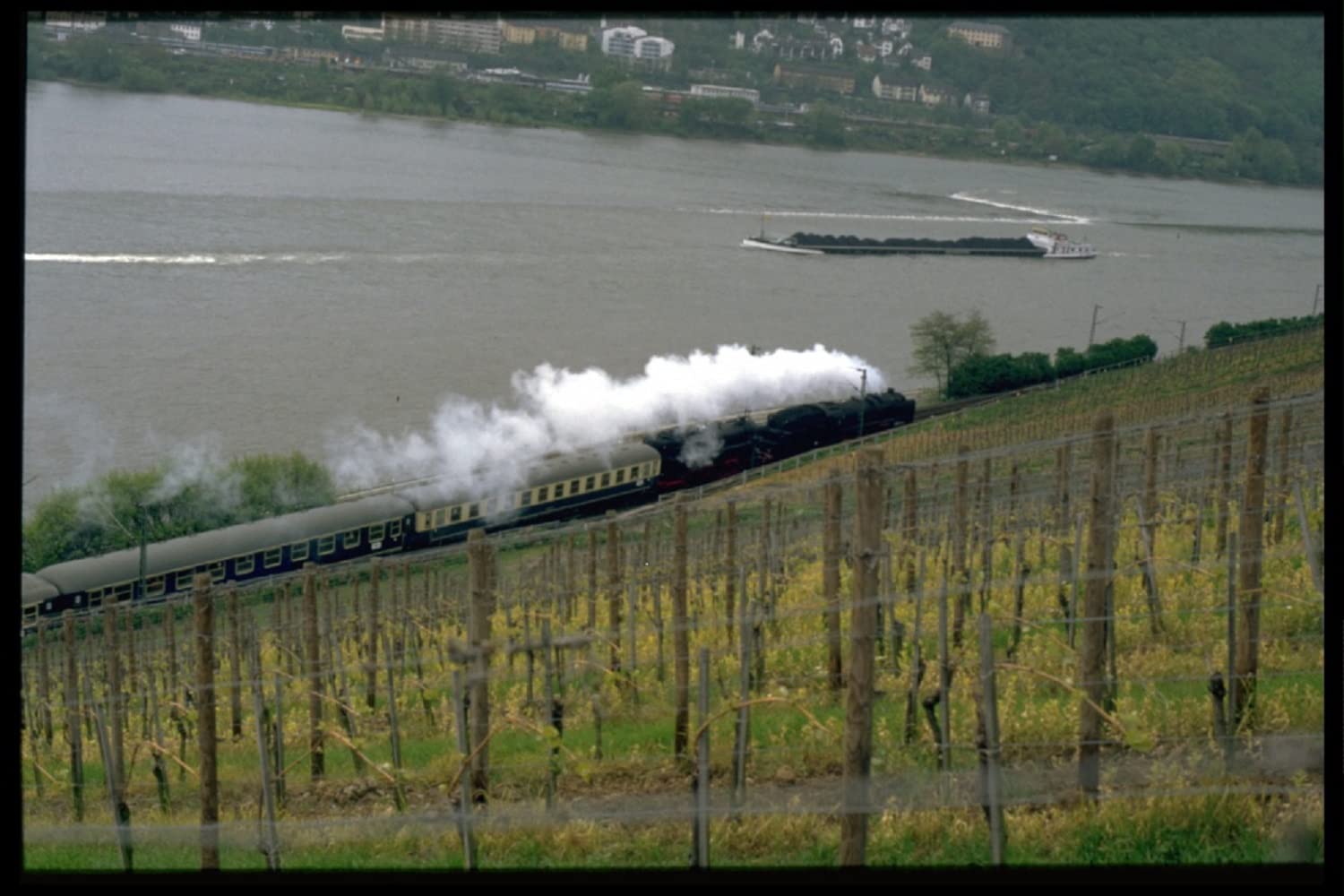 Weingut Georg Breuer Rüdesheim Estate Riesling trocken Qualitätswein Rheingau (1 x 0.75 l) (Packung mit 3)