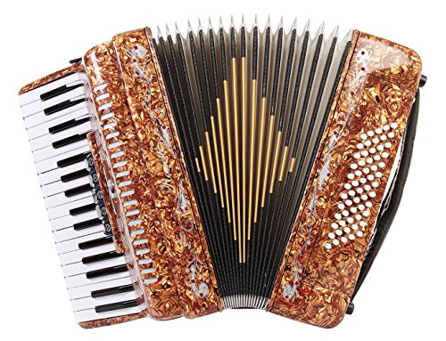 Accordion Instrument Accordion, 22 Key 8 Bass Button